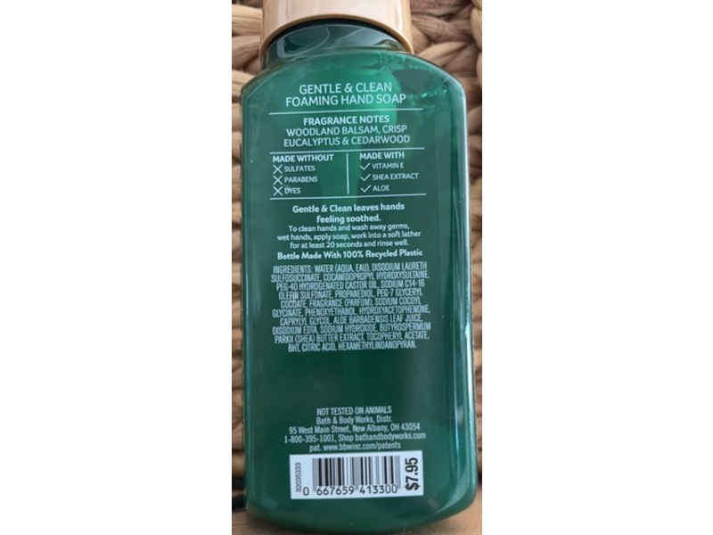 Bath & Body Works Foaming Hand Soap, Fresh Balsam, 8.75 fl oz/259 mL