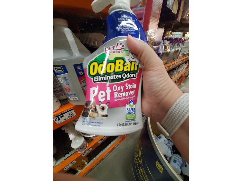 Odoban Pet Oxy Stain Remover, 32 Fl. Oz.