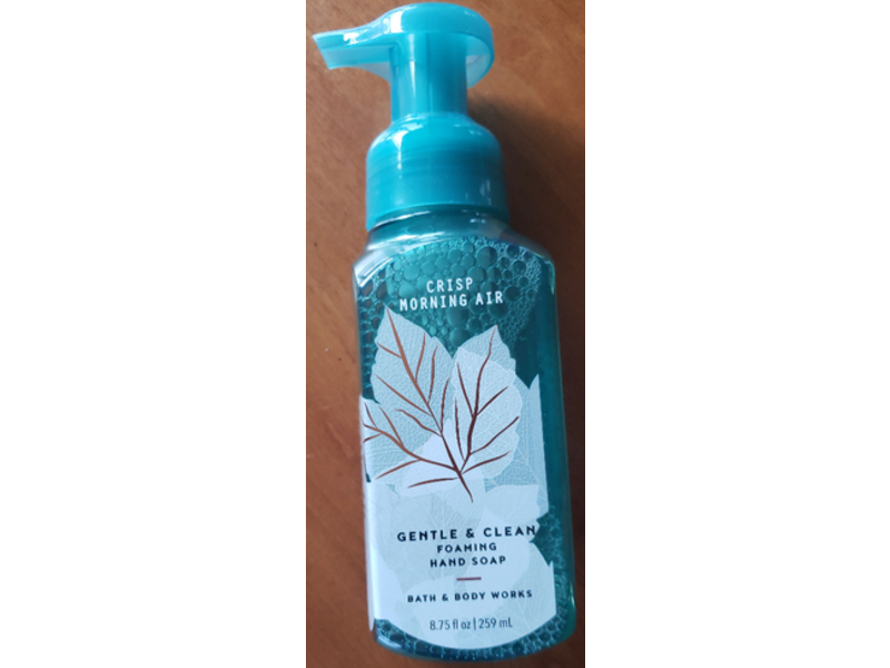 Bath & Body Works Gentle & Clean Foaming Hand Soap, Crisp Morning Air, 8.75 fl oz/259 mL