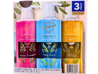 Safeguard Ultimate Care Hand Wash, Guava Pineapple, Ocean Breeze & Coconut, 15.5 fl oz/458 mL, Pack Of 3 - Image 3