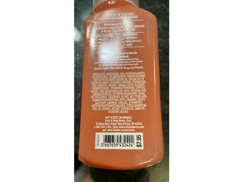 Bath & Body Works Gentle & Clean Foaming Hand Soap, 259 mL