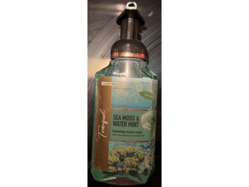 Scent Theory Foaming Hand Soap, Sea Moss & Water Mint, 11 fl oz/125 mL