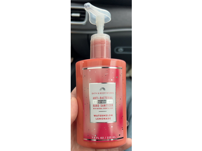 Bath Body Works Anti-Bacterial Moisturizing Hand Sanitizer