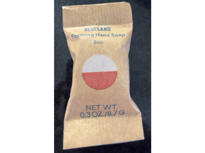 Blueland Foaming Hand Soap, Zion, 0.3 oz/8.7 g