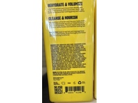 Babe Original Densifying Shampoo, 13.5 fl oz/400 mL - Image 5