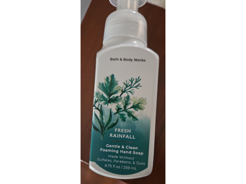 Bath & Body Works Gentle & Clean Foaming Hand Soap, Fresh Rainfall, 8.75 fl oz