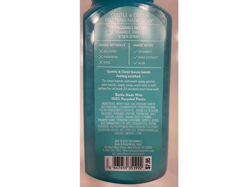 Bath & Body Works Gentle & Clean Foaming Hand Soap, Turquoise Waters, 8.75 fl oz/259 mL