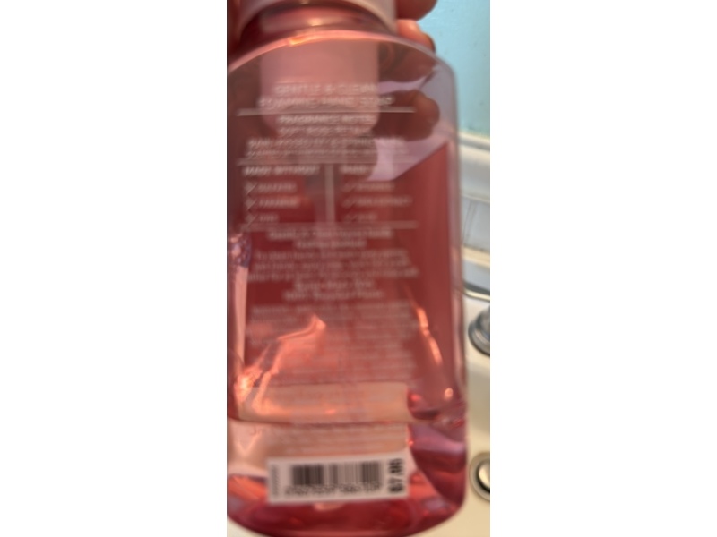 Bath & Body Works Gentle & Clean Foaming Hand Soap, Rose Water & Ivy, 259 mL