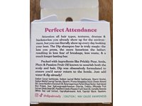 Dip Shampoo, Fragrance Free, 4 oz/113 g - thumbnail 3