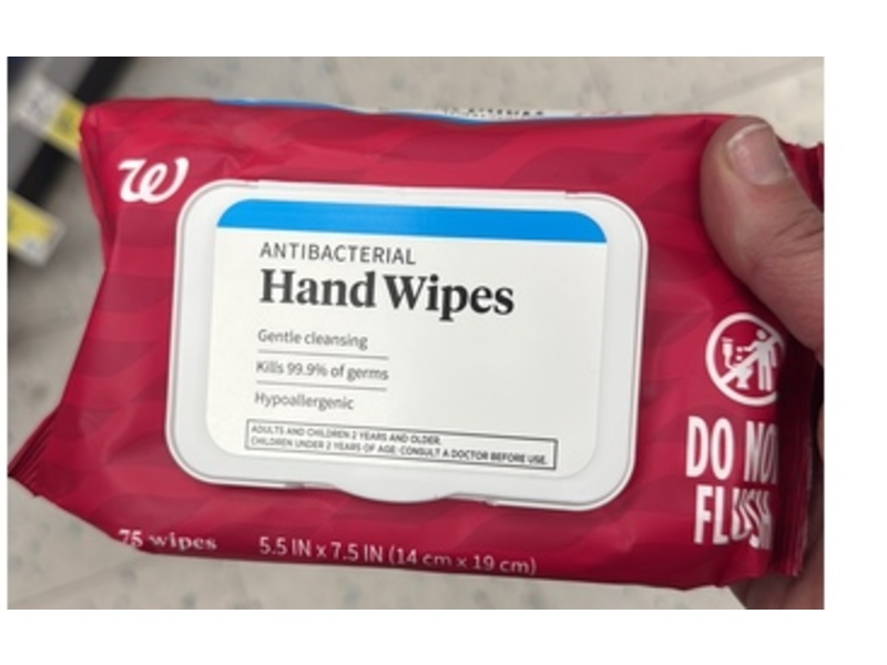 Walgreens Antibacterial Hand Wipes, 75 Count