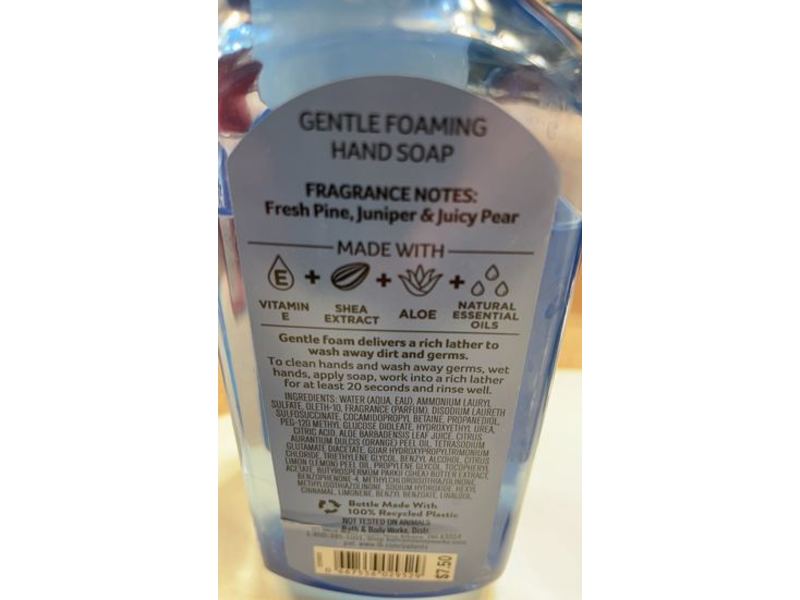 White Barn Crisp Morning Air Gentle Foaming Hand Soap, Natural Essential Oils, 8.75 fl oz/259 mL