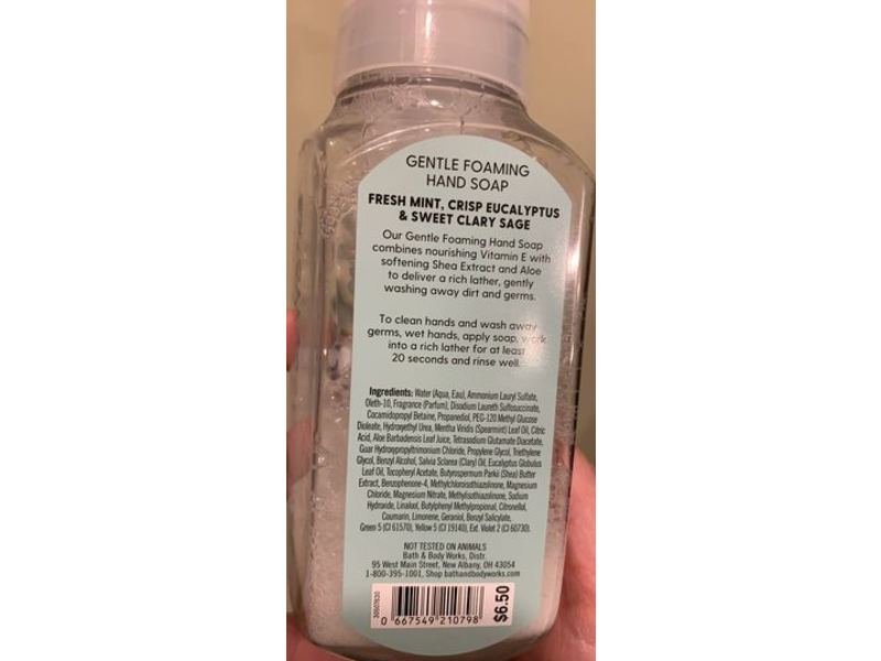 Bath & Body Works Eucalyptus Mint Gentle Foaming Hand Wash, 8.75 fl oz/259 mL