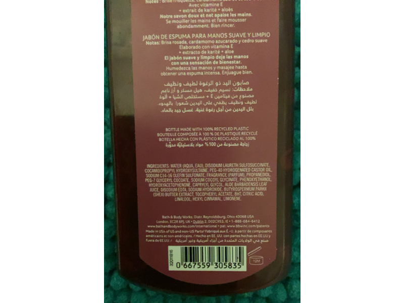 Bath & Body Works Gentle & Clean Foaming Hand Soap, Together & Weather, 8.75 fl oz/259 mL