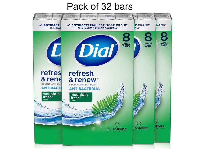 Dial Refresh & Renew Mountain Fresh Deodorant Bar Soap, 32 oz/904 g, Pack of 32 Bars