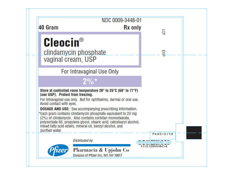 Cleocin (clindamycin phosphate vaginal cream, USP) 2%, 40 g, Pfizer (RX)
