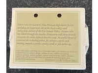 Los Poblanos Pinon Bar Soap with Juniper Berry & Nutmeg, 5 oz - Image 4