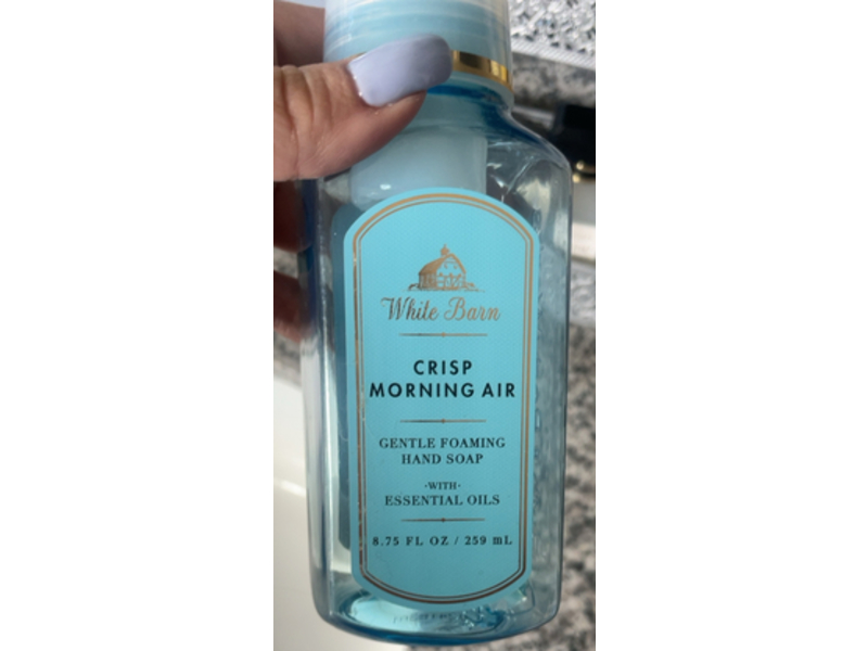 White Barn Gentle Foaming Hand Soap, Crisp Morning Air, 8.75 fl oz/259 mL