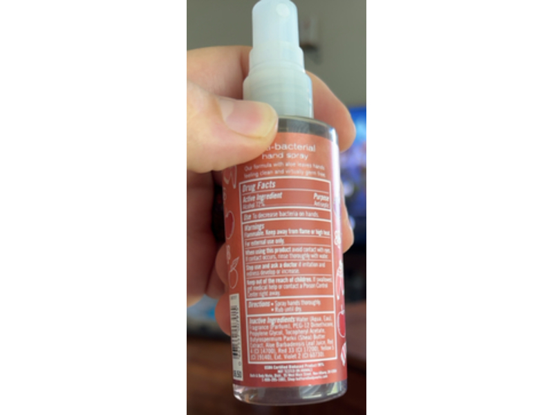 Bath & Body Works Anti Bacterial Hand Spray, Champagne Apple & Honey, 3 fl oz/88 mL