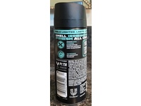 Axe Irresistibly Fresh Non-Stop Deodorant Body Spray, Apollo, 2.9 oz/84 g - thumbnail 3