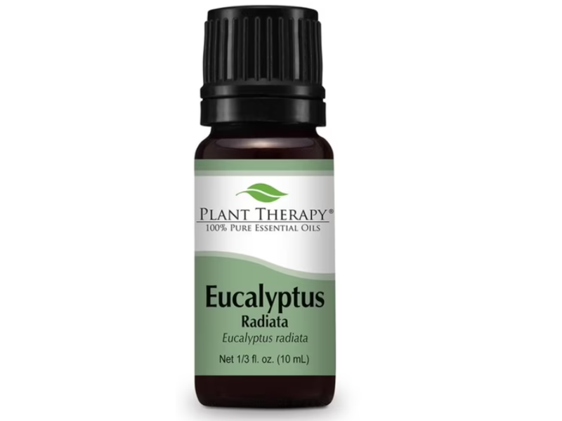 Plant Therapy Eucalyptus Radiata Essential Oil, 1/3 fl oz/10 mL