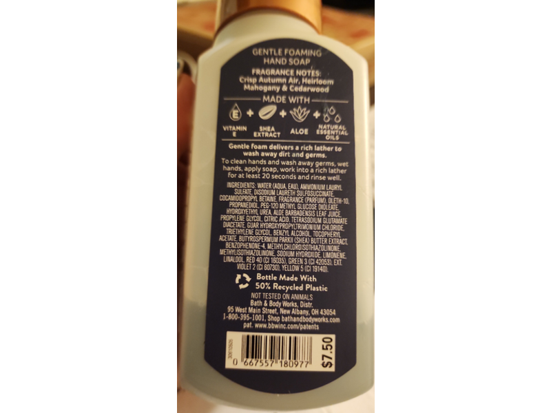 Bath & Body Works Gentle Foaming Hand Soap, Flannel, 8.75 fl oz/259 mL