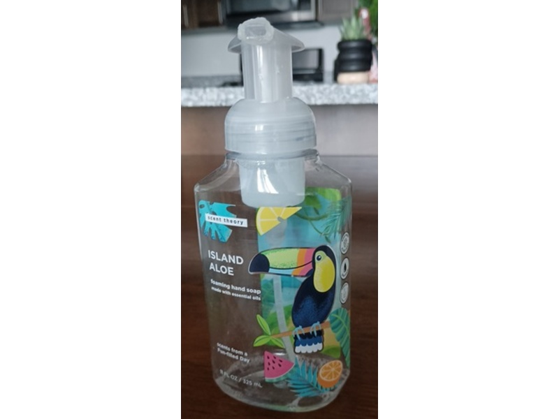 Scent Theory Island Aloe Foaming Hand Soap, 11 fl oz/325 mL