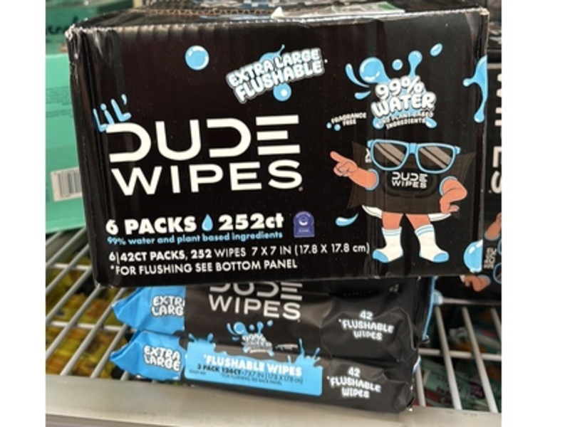 Dude Wipes 99% Water Flushable Wipes, Fragrance Free, 25 Count, Pack Of 6