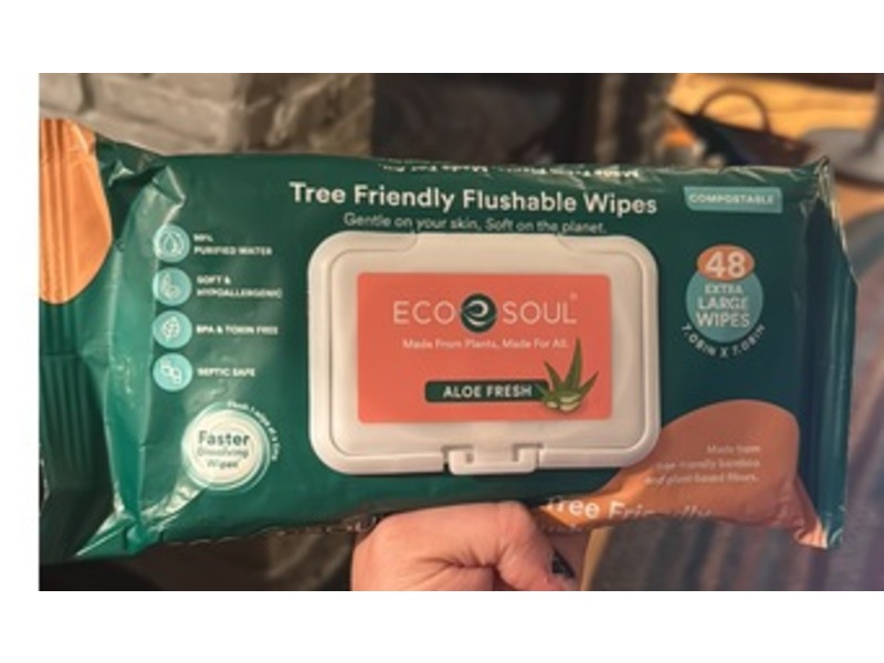 Eco Soul Tree Friendly Flushable Wipes, Aloe Fresh, 48 Wipes