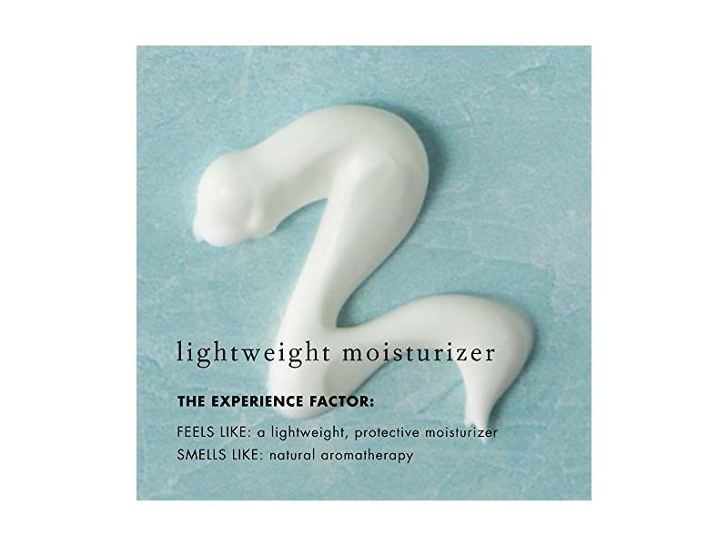 Bioelements RayDefense Sunscreen & Moisturizer, SPF 30, 4 fl oz/118 mL