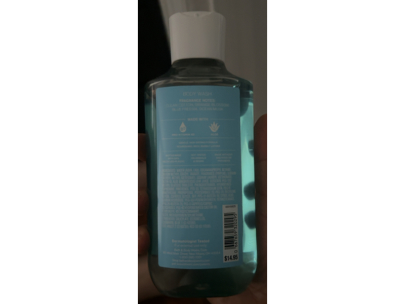 Bath & Body Works Sea Island Shore Body Wash, Pro Vitamin B5 + Aloe, 10 fl oz/295 mL