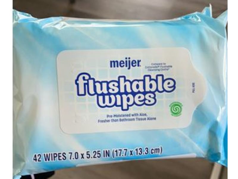 Meijer Flushable Wipes, Aloe, 42 Count