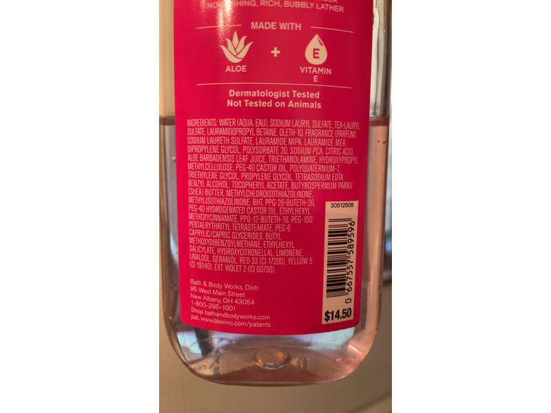 Bath & Body Works Among The Clouds Shower Gel, Aloe + Vitamin E, 10 fl oz/295 mL