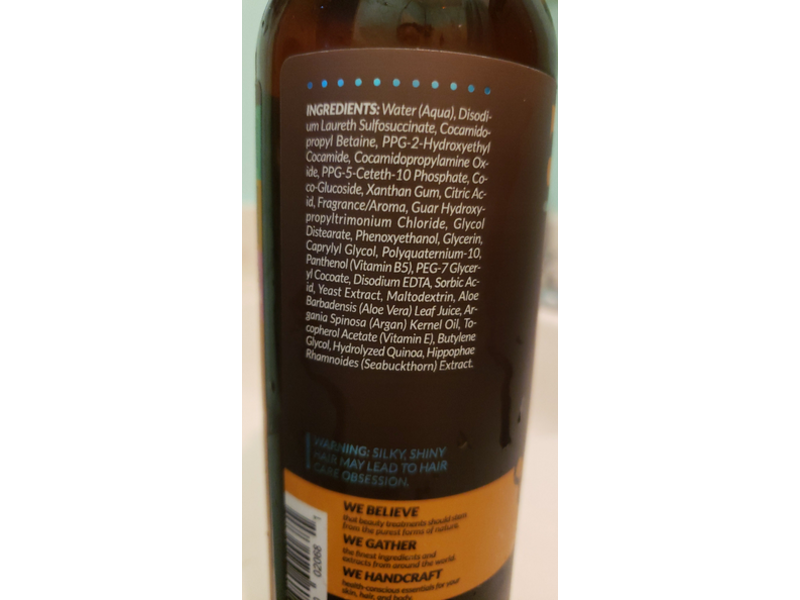 Artnaturals Shampoo, Argan Oil & Vitamin E, 16 fl oz/473 mL