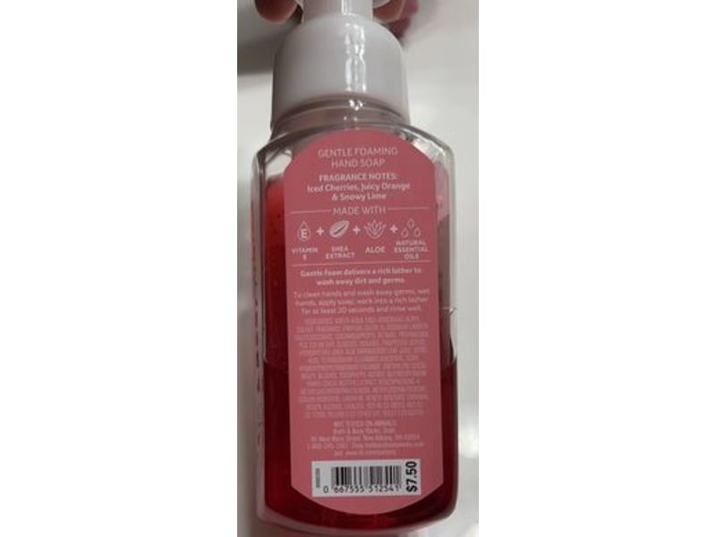 Bath & Body Works Winter Berry Ice Foaming Hand Soap, 8.75 oz/259 mL