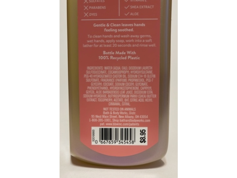 Bath & Body Works Gentle & Clean Foaming Hand Soap, Sparkling Watermelon, 8.75 fl oz/259 mL