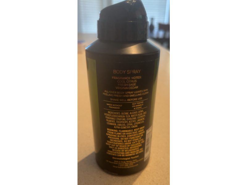 Bath & Body Works Body Spray, Woodlands, 3.7 fl oz/104 g