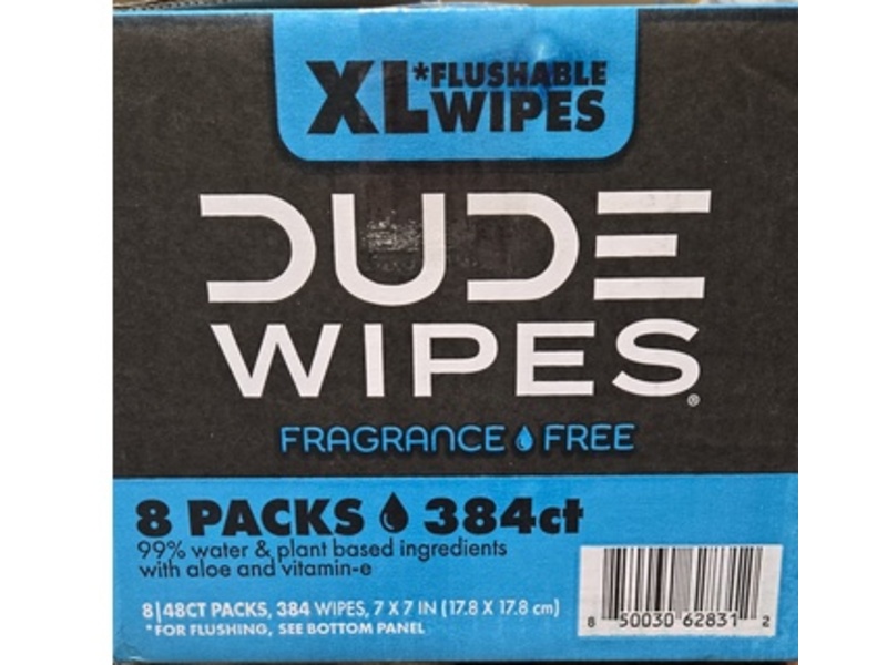 Dude Wipes Flushable Wipes, Fragrance Free Extra, Vitamin-E & Aloe, Pack Of 8, 384 Count