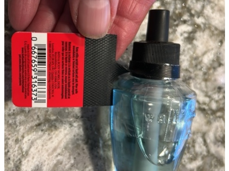 Bath & Body Works Wallflowers Fragrance Refill, Fresh Balsam, 0.8 fl oz/24 mL