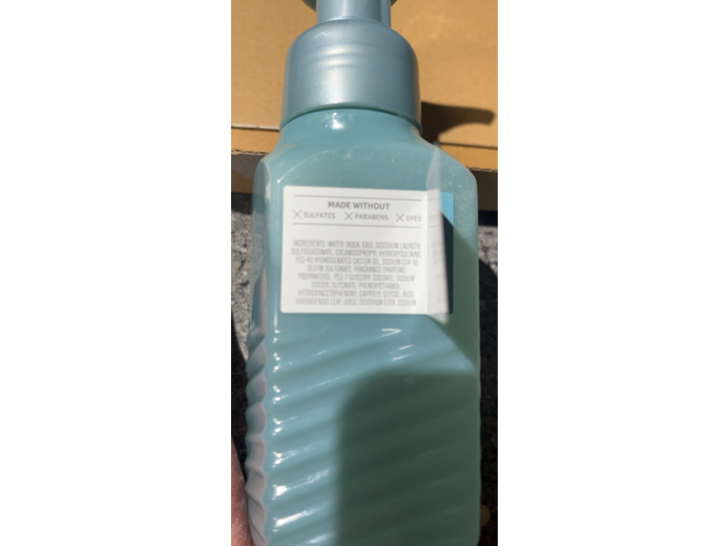 Bath & Body Works Gentle Clean Foaming Hand Soap, Fresh Sparkling Snow, 8.75 fl oz/259 mL