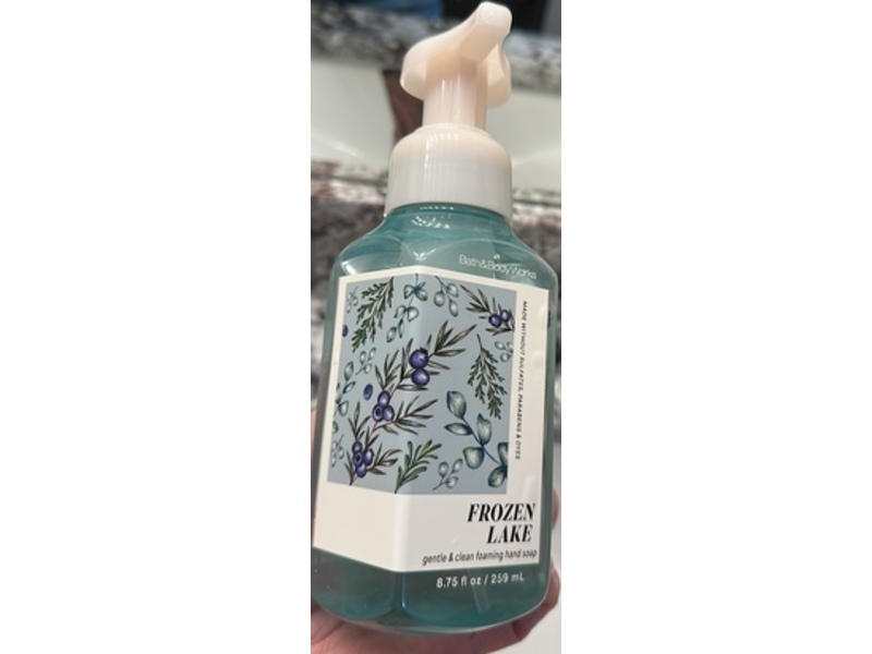 Bath & Body Works Gentle & Clean Foaming Hand Soap, Frozen Lake, 8.75 fl oz/259, Pack Of 2