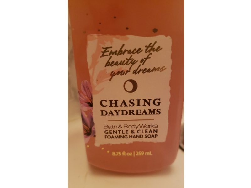Bath & Body Works Foaming Hand Soap, Chasing Day Dreams, 8.75 fl o/259 mL
