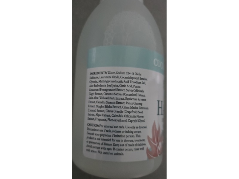 Ginger Lily Farms Botanicals Foaming Hand Soap, Cucumber Mint Bliss, 20 fl oz/591 mL