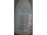 Ginger Lily Farms Botanicals Foaming Hand Soap, Cucumber Mint Bliss, 20 fl oz/591 mL - thumbnail 3