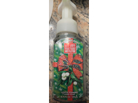 Bath & Body Works Gentle Foaming Hand Soap, Kiss Kiss Mistletoe, 8.75 fl oz/259 mL - Image 3