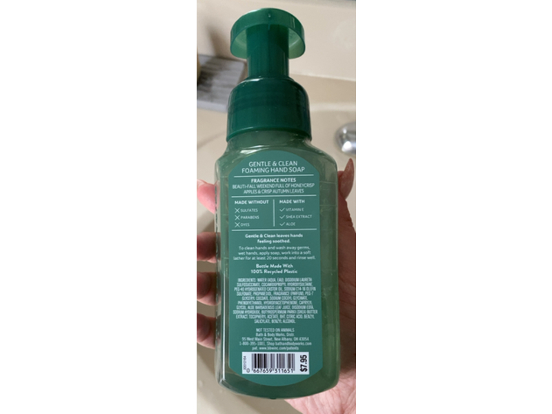 Bath & Body Works Gentle & Clean Foaming Hand Soap, Honeycrisp Hayride, 8.75 fl oz/259 mL