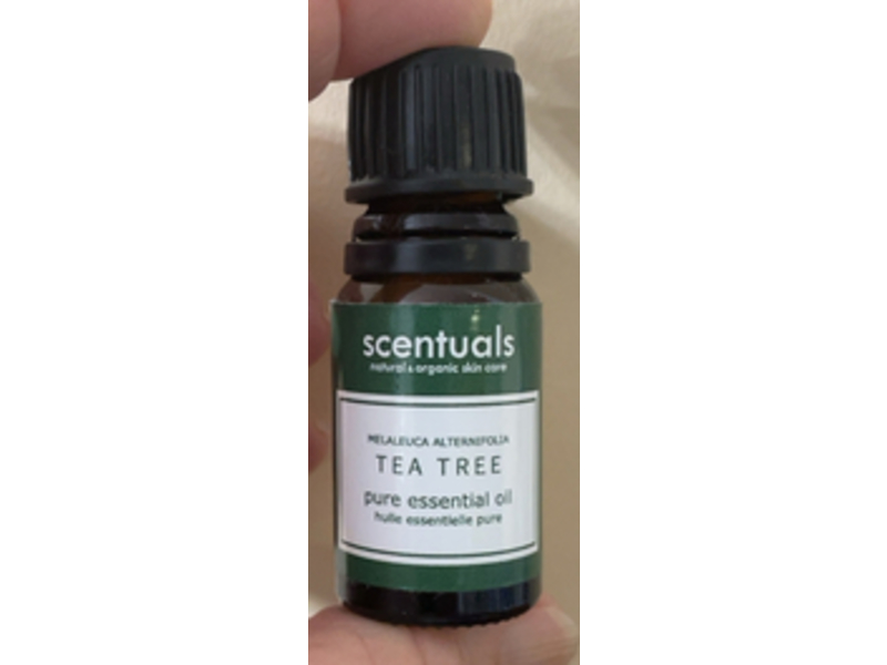 Scentuals Pure Essential Oil, Melaleuca Alternifolia Tea Tree, 0.34 fl oz/10 mL