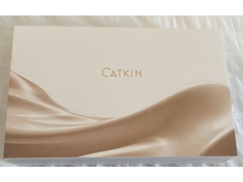 Catkin Glow Flawless BB Cushion Foundation, C02 Ivory, 0.92 oz/ 14 g, Pack Of 2