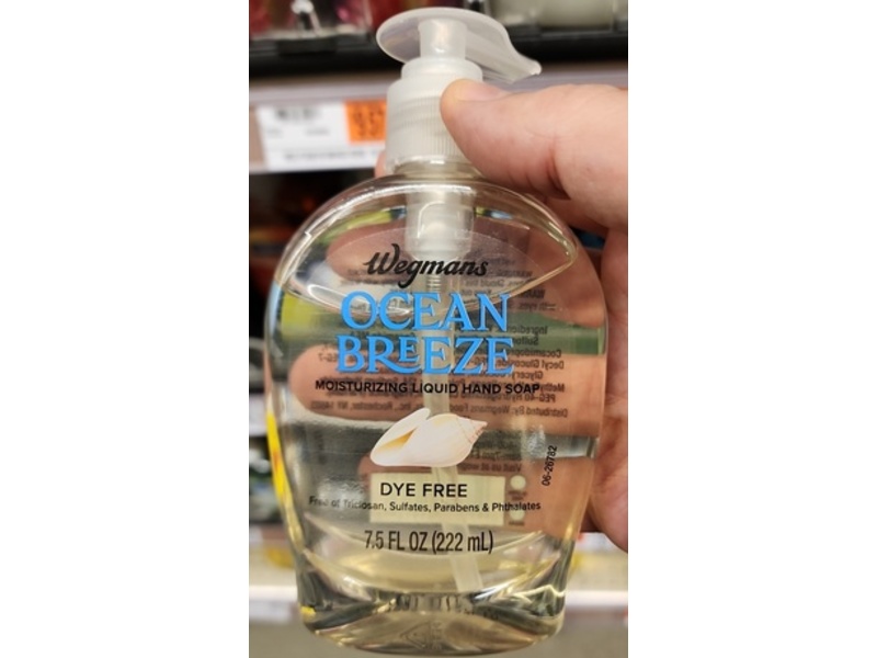 Wegmans Moisturizing Liquid Hand Soap, Ocean Breeze, 7.5 fl oz/222 mL