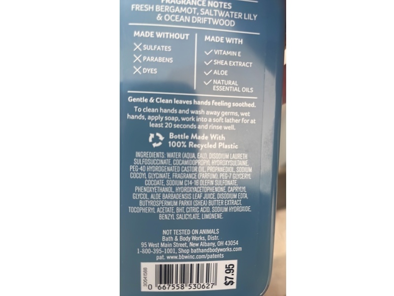 Bath & Body Works Gentle & Clean Foaming Hand Soap, Endless Sea, 8.75 fl oz/259 mL, Pack Of 2