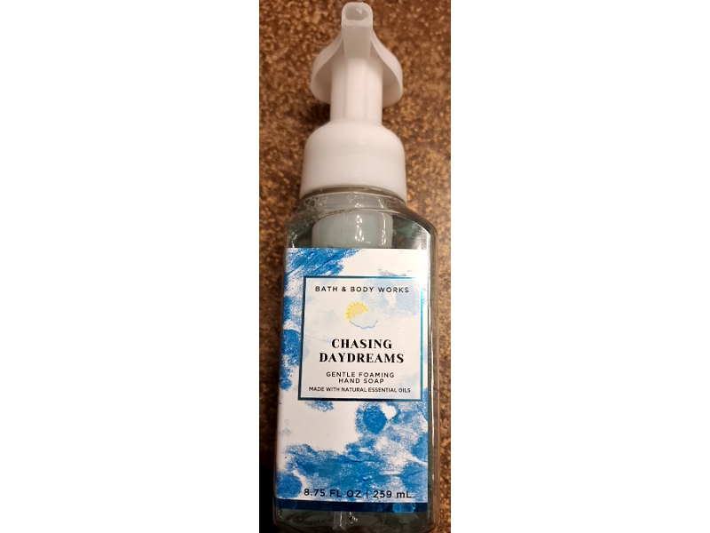 Bath & Body Works Gentle Foaming Hand Soap, Chasing Daydreams, 8.75 fl oz/259 mL